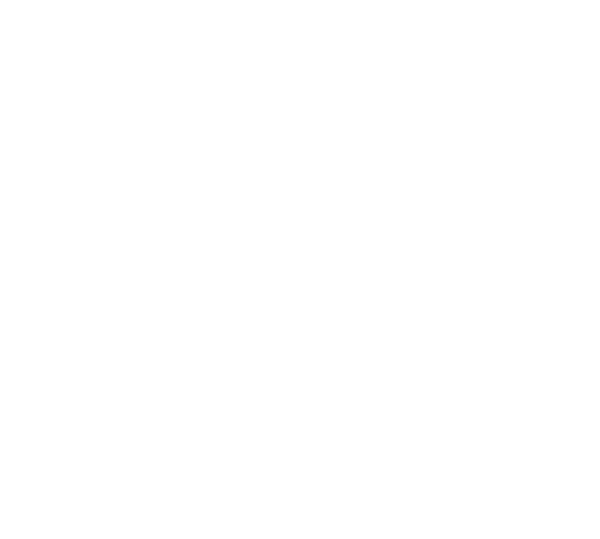 Traits Visuals logo